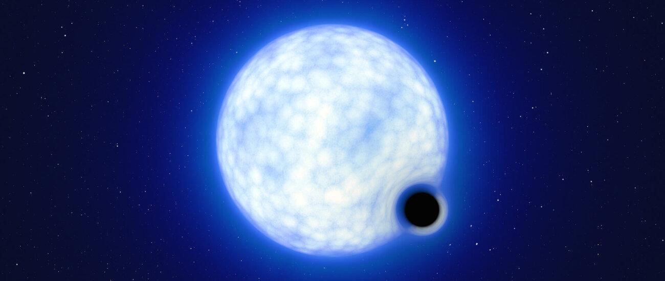 Астрономы: черные дыры могут рождаться без взрыва сверхновой