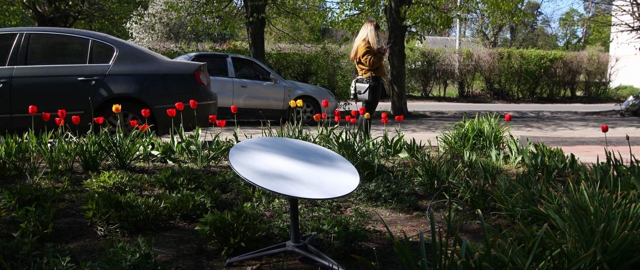 Сенат США будет расследовать дело сети Starlink из-за заявлений Маска