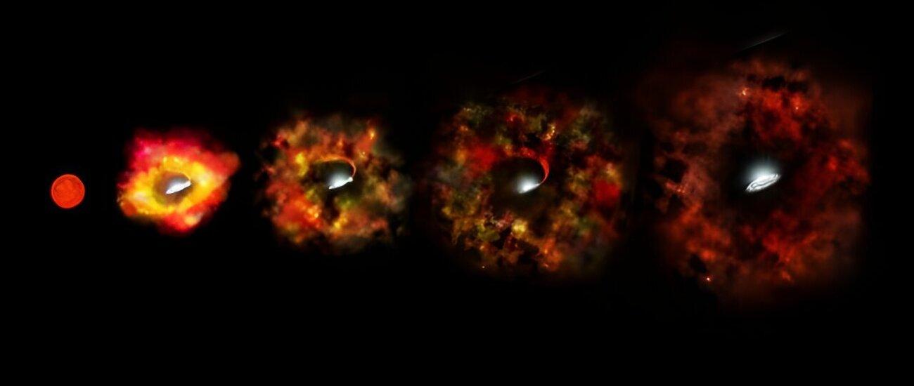 «Джеймс Уэбб» раскрыл тайну загадочного исчезновения массивной звезды