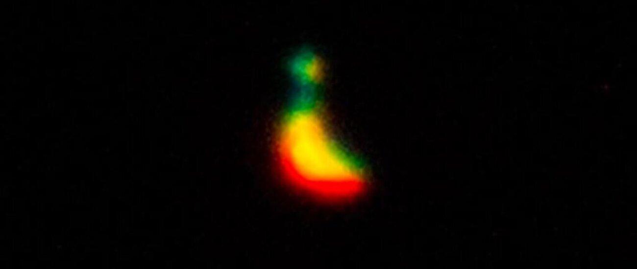 Фотограф засек загадочную зелёную вспышку на Венере